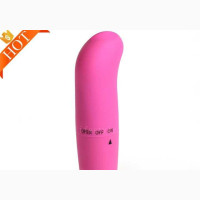 High Star Dolphin Vibrator - Brand New