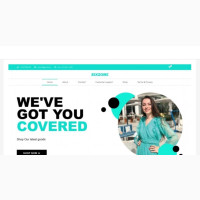 I Will Design or Redesign Wordpress Website