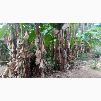 Land Opposite Teaching Hospital