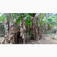 Land Opposite Teaching Hospital