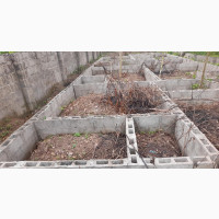 Half Plot With Foundation and Dwarf Fence