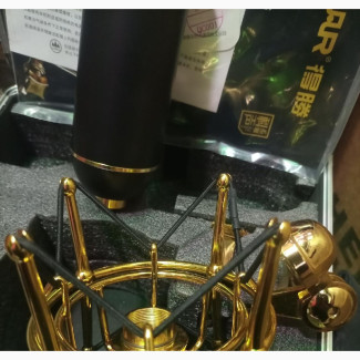 Golden Takstar Pc Studio Microphone