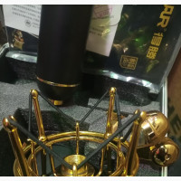 Golden Takstar Pc Studio Microphone