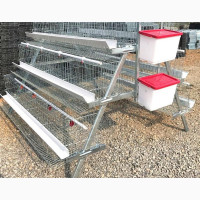 Battery Cage 160birds 3tires