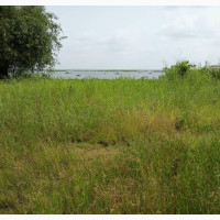 Water Front Land For Sale But Not Water Locked Land