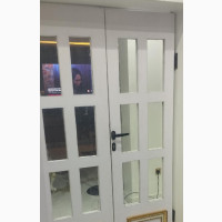 Transparent Kitchen Door