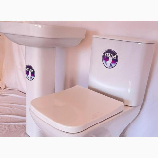 VSTAR Top Flush Ceramic Water Closet and Wash Hand Basin
