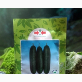 Cucumber Seeds ( Greengo 918 F1)1000 Seeds