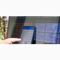 MT4/MT5 Indicator/Ea Developer