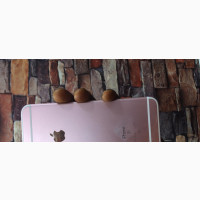 Apple iPhone 6s Plus 128 GB Rose Gold