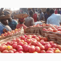 Farm-Fresh Tomatoes, Sweet Potatoes, Irish Potatoes, and More