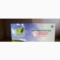 Natures Multiple Stem Cell