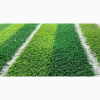 Artificial Grass Carpet Rug - Brand New