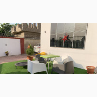 Artificial Grass Carpet - Various Sizes and Colors