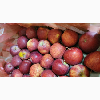 Red Apple Fruit