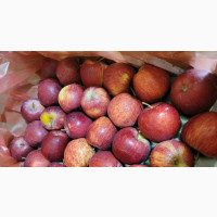 Red Apple Fruit