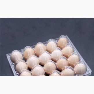 Transparent Egg Crates (30 Holes)