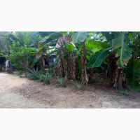 Land Close to Ibom Specialist