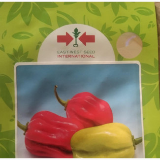 Hot Pepper (Piquante Red F1)