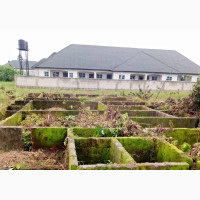 Affordable 2-Bedroom Buildings with Spacious Rooms for Sale