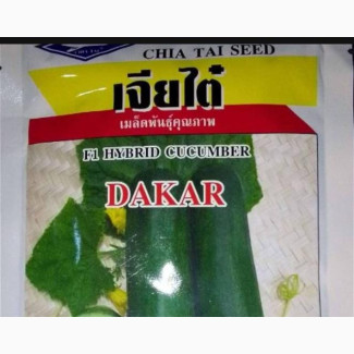 Dakar F1 Hybrid Cucumber