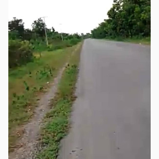 14 Acres for Sale Out of 114 Acres