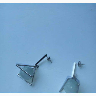 Stainless Steel Earrings