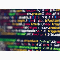 Mobile App Developer