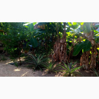Land Off Idoro Road