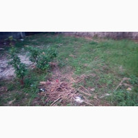 Residential Land at Praise Garden Estate in Abakaliki Ebony