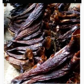 Zina Seafood
