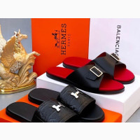 Hermes Palm