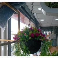 Hanging Flower Pots - Perfect for Outdoor Decor