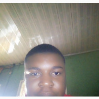Experienced Home Science Tutor Available