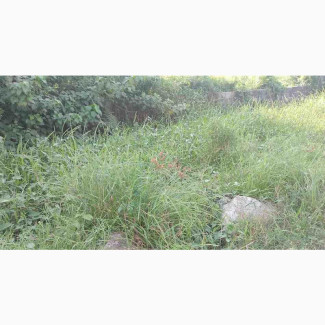 Invest in C of O Estate Land for High Returns