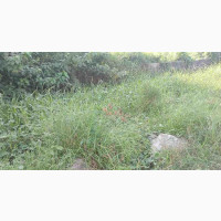 Invest in C of O Estate Land for High Returns