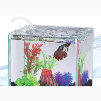Complete Cube Shape Aquarium With Fishes - 15 X 15 X15inches