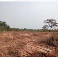 Landing Property