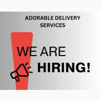 Delivery/Dispatch Rider