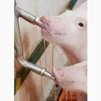 Pig Nipple Drinker - Get Yours at Farmpower Nigeria