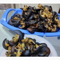 Processed Snails