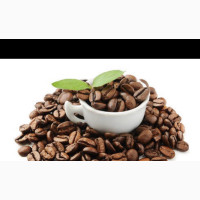 Get the Best Brown Coffee Bean Supplements