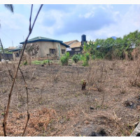 30 by 120 Half Plot - 5.5million
