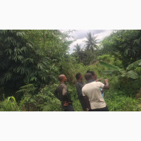 Genuine Plots of Land for Sale With C of O