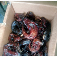Dried Peppered Catfish