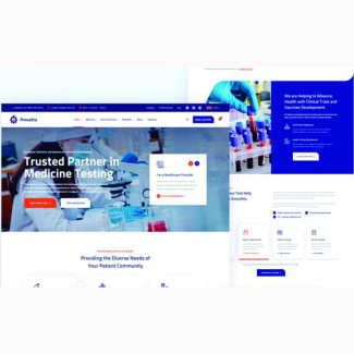 Website Design and Development