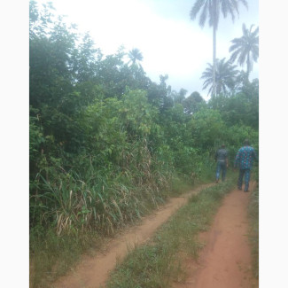 35 Plots Of Farmland With Good Motorable Access Road