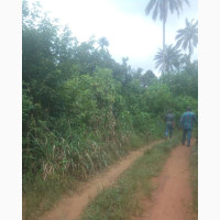 35 Plots Of Farmland With Good Motorable Access Road