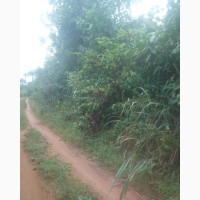 35 Plots Of Farmland With Good Motorable Access Road