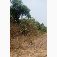 35 Plots Of Farmland With Good Motorable Access Road